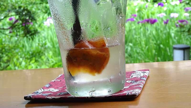 庭の梅の実で作った自家製梅ジュース