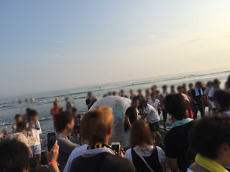 【海夏フェスの心得】「水曜日のカンパネラ」コムアイがウォーターボールで海に突っ込んだ！さすがです。