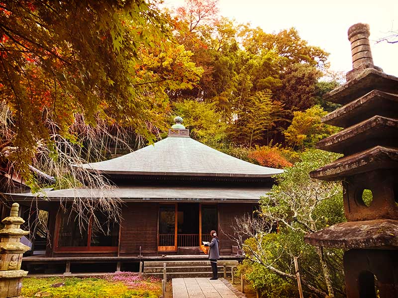 【北鎌倉おすすめ紅葉名所】縁切りのパワースポット「東慶寺」で淡い紅葉を楽しむ