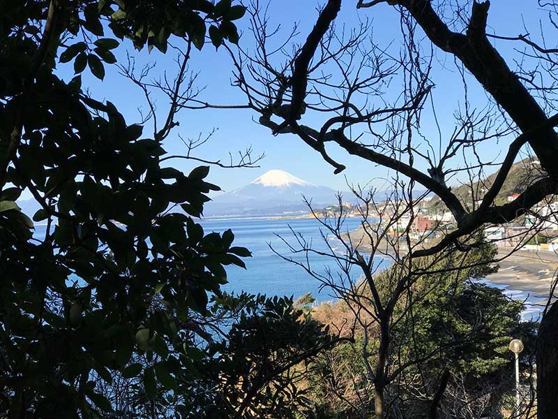 木々の間から富士山をパチリ