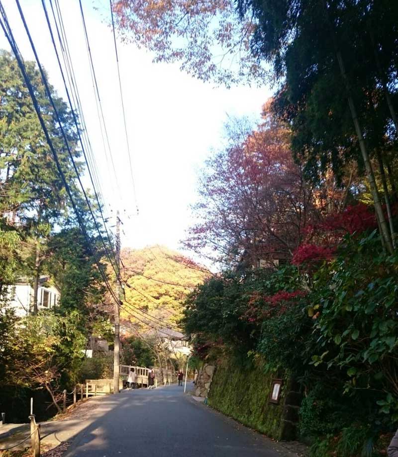 紅葉を眺めて北鎌倉を散策