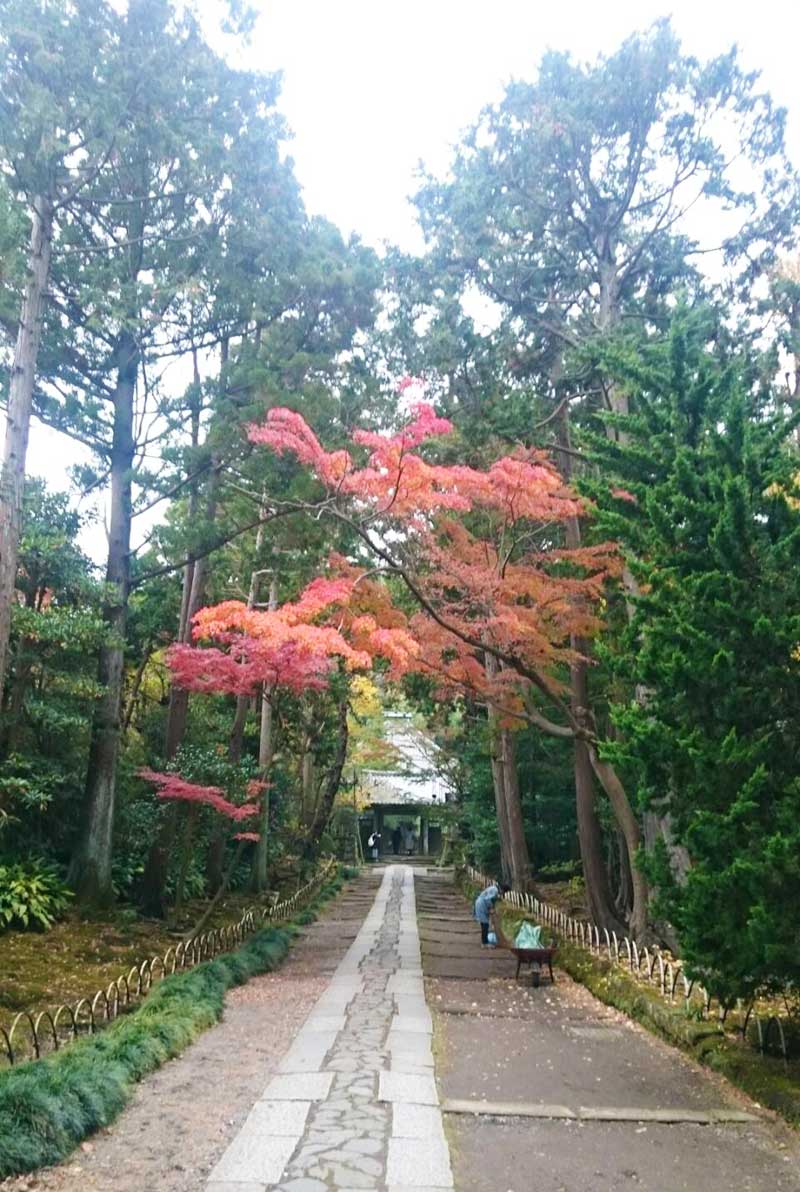 寿福寺の石畳の参道