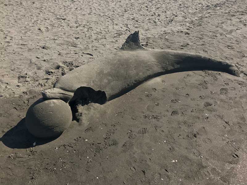 時間が経つと崩れてしまう砂イルカ