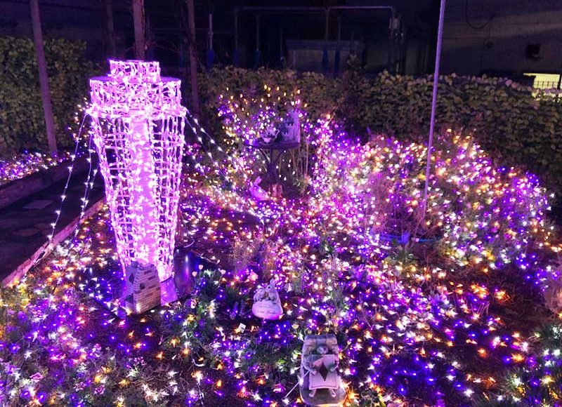 【江ノ電江ノ島駅ホームのガー電が凄いと評判】ミニ庭園イルミメーション！ミニシーキャンドルもあるよ！