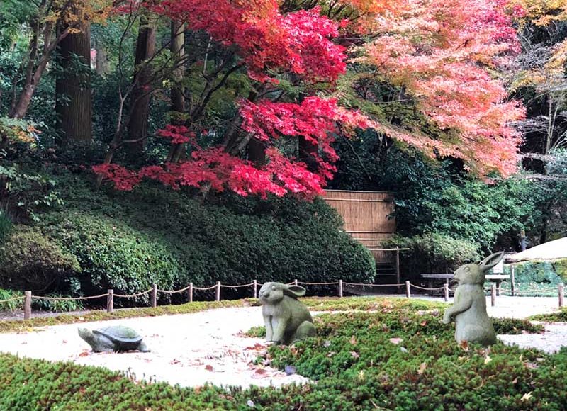 【鎌倉明月院2018年12月】本堂後庭園が特別公開中！丸窓の向こう側は絶景の紅葉撮影スポットだった！