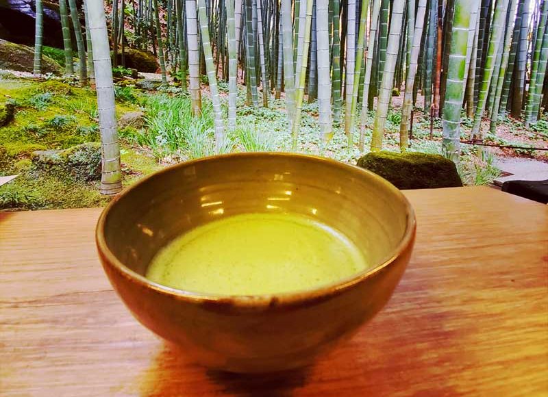 【冬の報国寺の楽しみ】竹林に囲まれた寺カフェ「休耕庵」で抹茶をいただく